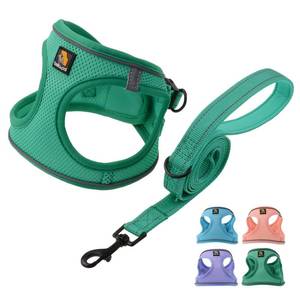 lot 1314 image: BELLA & PAL Step in Vest Harness for Small and Medium Dogs, No Pull Small Dog Harness with Leash Set, Comfortable Air Mesh Dog Vest Harness with Reflective Strip (Emerald, XS)