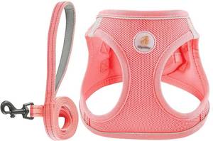 lot 131346 image: Hipubby Dog Harness and Leash Set, No Pull Soft Mesh Puppy Harness for Small Medium Dogs, Cats - Step in Reflective Breathable Lightweight Vest Harness for Walking, Training - Pink, XS
