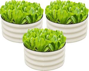 lot 331182 image: SnugNiture 3 Pcs 2x2x1ft Round Galvanized Raised Garden Bed Kit Outdoor, Metal Planter Box for Planting Plants Vegetables, White