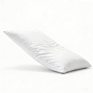 lot 371263 image: Thin Flat Soft Goose Feather Down Bed Pillows for Sleeping Hypoallergenic Standard Size Set of 1 Pack Side Back and Stomach Sleepers