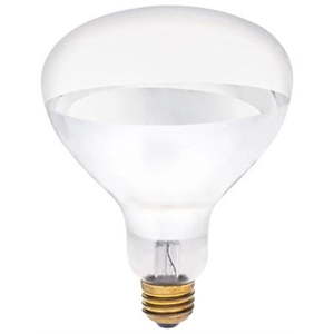 lot 20532 image: Westinghouse Lighting 0391300 - 250R40HT  - Retail $41