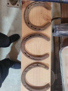 lot 20535 image: 3Used Horseshoes  - Retail $15