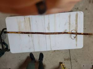 lot 20776 image: Handcrafted Wooden Walking Stick with Leather Strap - Retail $25