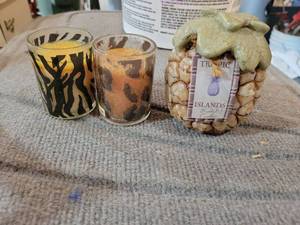lot 20815 image: Tropical Island Candle Set with Animal Print Glass Holders - Retail $15
