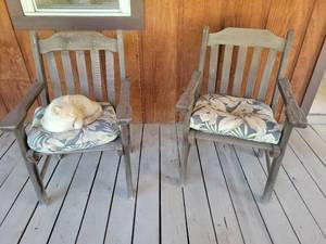 lot 20854 image: Pair of Outdoor wooden Chairs with Floral Cushions. Cat not included - Retail $75