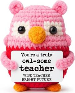 lot 8932 image: Pink Owl Crochet Birthday Gift for Teacher, Handmade Thank You Keepsake for Women Mentors, Inspirational Crochet Teacher Appreciation Present, Graduation End of School Year Desk Decor