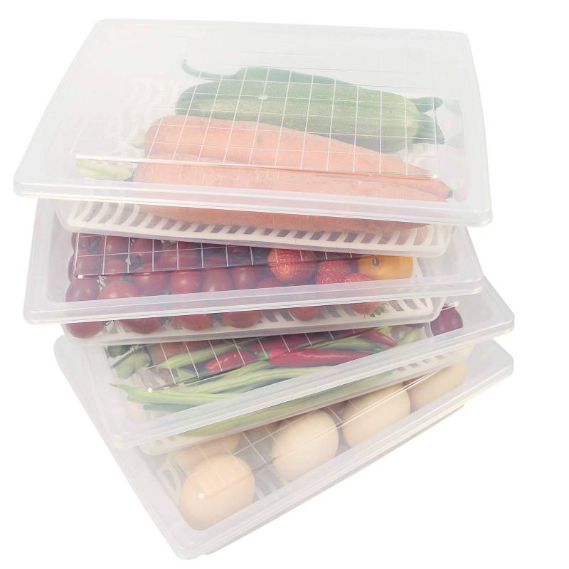 lot 55731 image: Food Storage Container, Plastic Food Containers with Removable Drain Plate and Lid, Stackable Portable Freezer Storage Containers - Tray to Keep Fruits, Vegetables, Meat and More (4,Large) - Retail $24