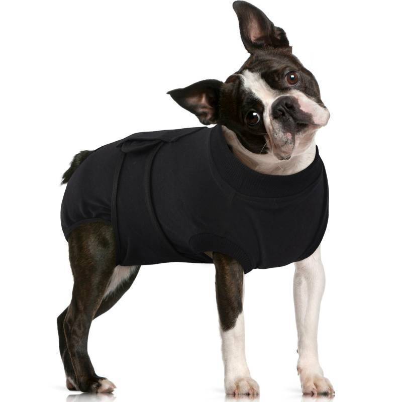 lot 34240 image: Dog Recovery Suit Male, Dogs Surgery Neuter Suits Puppy Spay Shirts for Female Protect Dogs Skin Anti Licking Abdominal Wounds Doggie Onesie Pet Bodysuit Alternative to Cone Black L - Retail $33