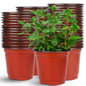 lot 33051 image: Augshy 75 Pcs 6 Plastic Plants Nursery Pot, Indoor Outdoor Seed Starting Pots - Retail $16