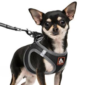lot 30202 image: Dog Harness Medium Sized Dogs, Puppy Harness and Leash Set for Training, Running, Walking, Suitable for Small and Medium Dog Vest, Black, L