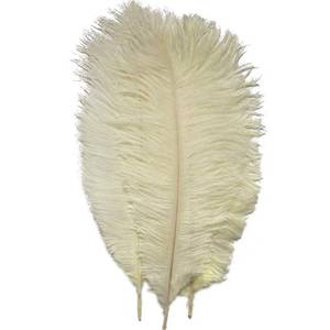 lot 42460 image: Sowder 50pcs Natural 8-10inch(20-25cm) Ostrich Feathers Home Wedding Decoration(Ivory) - Retail $923