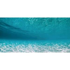 lot 953 image: AWERT 30x18 inches Undersea Aquarium Background Pool Ocean Floor Aquarium Background Underwater Fish Tank Background - Retail $7