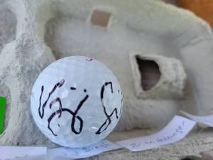 lot 197 image: Vijay Singh Autographed Golf Ball