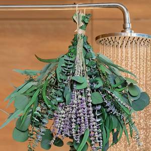 lot 30235 image: 52 PCS Mix Dried Eucalyptus & Lavender Flowers Bundles for Shower, 17 Natural Real Hanging Silver Dollar Eucalyptus Leaves Stems, Fragrance Fresh Plants Home Bathroom Decor (52pcs) - Retail $12