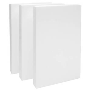 lot 61874 image: Rectangular Foam Blocks - Easy-to-Carve Sculpting Foam - Diorama Base Rectangles for Model Displays - Versatile Craft Pack for DIY Craft - Pack of 3, 17 x 11 x 2 in, White - Retail $29