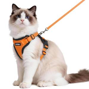 lot 9430 image: rabbitgoo Cat Harness and Leash for Walking, Escape Proof Soft Adjustable Vest Harnesses for Cats, Easy Control Breathable Reflective Strips Jacket, Orange, M