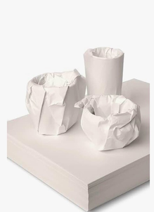 lot 4799 image: 100 Sheets Newsprint Packing Paper for Moving - 12x12 Unbleached Fragile Item Protector  4.5lb Bulk Wrapping Paper, Bubble Wrap Alternative, Non-Scratch Box Filler (Eco-Friendly, No Wax)