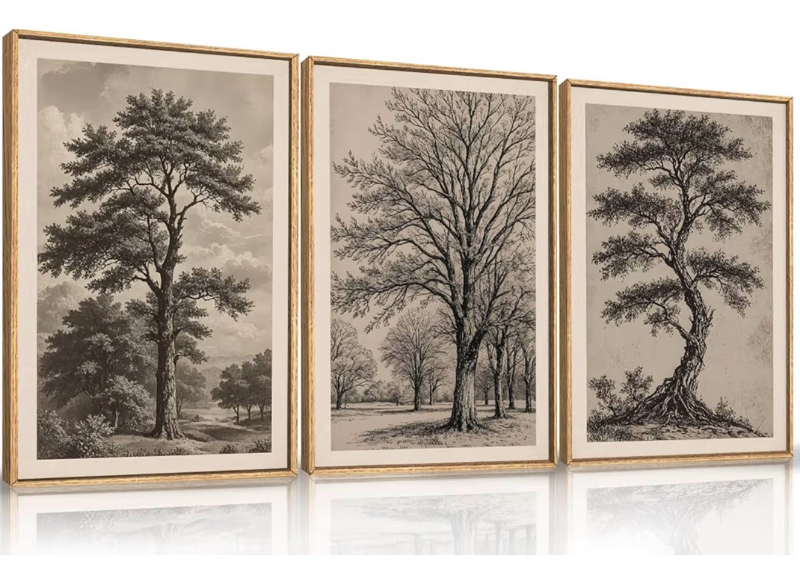 lot 4454 image: Vintage Sketch Tree Framed Canvas Wall Art Set,Modern Nature Botanical Wall Decor, Antique Wilderness Tree Artwork,Minimalist Neutral Art Prints for Living Room,Bedroom,Farmhouse-24 x36 x3 - Retail $100