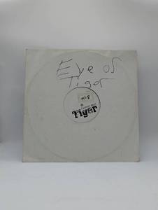 lot 1101 image: Laurent Wolf Tiger Eye if the Tiger Vinyl Record Single
