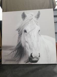 lot 3601 image: White Horse Portrait Canvas Wall Art