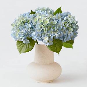 lot 3251 image: ZYTUYO 20 4PCS Artificial Light Blue Hydrangea Flowers Large Faux Latex Real Touch Fake Hydrangeas Silk Bouquet with Leaves Stems for Family Table Office Wedding Party Arrangements