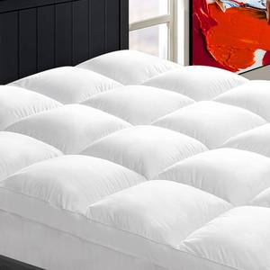 lot 3253 image: Mattress Topper Queen for Back Pain, Extra Thick Mattress Pad Cover, Plush Pillow Top, Deep Elastic Pocket, White