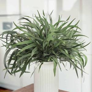 lot 12085 image: HIAGROW Eucalyptus Stems, 20PCS 17inch Real Fresh Dried Eucalyptus Branches for Shower Wedding Spring Festival Vase Home Decoration