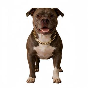 lot 12377 image: Cwyza Gold Cuban Link Dog Chain Collar,Heavy-Duty,Fade-Resistant Metal Necklace for Medium & Large Dogs, Durable & Stylish Pet Jewelry (Gold, 18(Neck Fits 14��17.5 in))