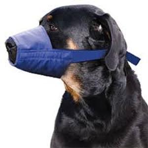 lot 6235 image: Blue Dog Muzzle Large Dogs