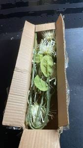 lot 11651 image: Mixed Artificial Plant