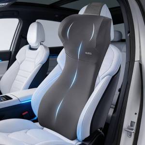 lot 13810 image: Lumbar Support Pillow for Car with Headrest, Memory Foam Cushion for Back & Neck Support, Muscle Fatigue Relief, Full-Length S-Curve Support for Long Drives, Fits Cars, SUVs, Trucks