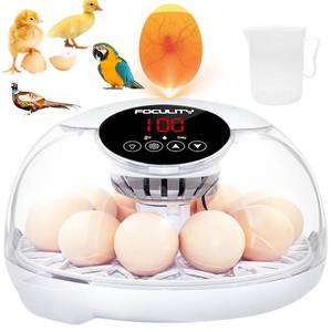 lot 18102 image: (Used)FOCULITY Egg Incubators for Hatching Eggs with Smart Automatic Turning Small Poultry Duck Quail 12 Eggs Chicken Incubator Temperature Days Control Humidity Display Candler Hatcher Machine, Fahrenheit