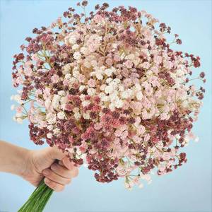 lot 19918 image: N&T NIETING Baby Breath Flowers Artificial Bulk, 15Pcs Fake Gypsophila Plants Bouquets Flowers Real Touch Faux Babies Breath Arrangement for Home Wedding Party Vase Decoration Fall Pink