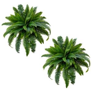 lot 19921 image: Senjie Artificial Boston Fern 2 Set 55 Branches Fake Ferns for Outdoors 32Inch Faux Plant for Home Living Room Office Decor