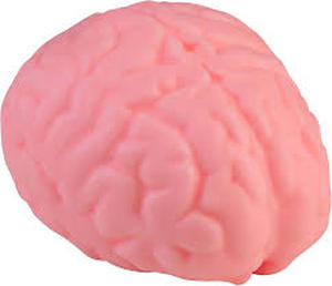 lot 18066 image: (its a squishy brain not cheese)ORB Easy Sqweezy Super Cheesy - Squeeze This Big, Fun, Squishy, Slow Rising, Extra Soft Giant Block of Cheese for Stress Relief - Original Sensory  Fidget Novelty Toy and Gift for Kids and Adults