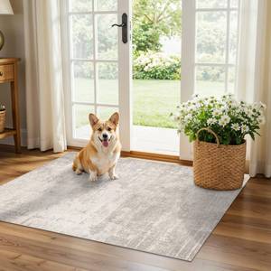 lot 2229 image: HAOYUNLAI 2x3 Entryway Area Rug Washable Kitchen Bedroom Carpet Soft Abstract Laundry Bathroom Rugs with Non-Slip Backing Easy-Clean Distressed Home Decor Floor Mat for Pets Family (2x3,BeigeCream)