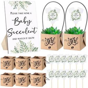 lot 4196 image: Geetery 101 Pcs Succulent Baby Shower Party Favor 1 Wooden Table Sign 50 Tags and 50 Kraft Succulent Pots for Guest Baby Shower Favors Gifts(Girl)