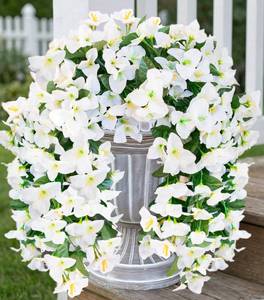 lot 12320 image: HyeFlora Bougainvillea Artificial Hanging Flowers Plants for Outdoors Decoration, 2pcs White Fake Flowers Silk Bougainvillea Vines Realistic UV Resistant Faux Flowers for Outdoor Planters Patio Yard