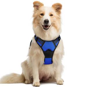 lot 14442 image: rabbitgoo Dog Harness No Pull with 2 Leash Clips, Adjustable Soft Padded, Reflective Oxford No Choke Pet Vest with Easy Control Handle for Medium Sized Dogs, Dazzling Blue, M