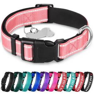 lot 16184 image: TECEUM Reflective Dog Collar �� Pink �� M �� Extra Soft Padding �� Basic Nylon Pet Collar �� Quick Release Buckle �� Fits Small, Medium and Large Dogs, Puppies, Cats �� ESA & Service Dog Options