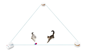 lot 13861 image: Interactive Cat Toy for Indoor Cats �� Automatic Moving & Enrichment Toy for Indoor CatsKitten, AutoManual Control Cat Treadmill for Exercise & Mental Stimulation, Stimulating Chase Toys (H1K2)
