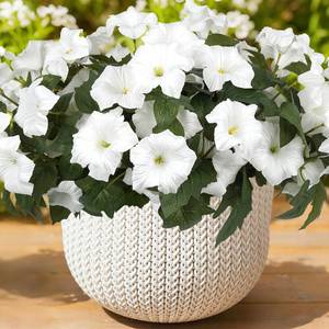 lot 1334 image: SIECCY Artificial Flowers for Outdoors, Faux Petunias Spring Summer Decoration, Fake Flowers Plants UV Resistant Look Real Silk Flowers for Outside Planter Front Door Porch Patio Yard (12, White)