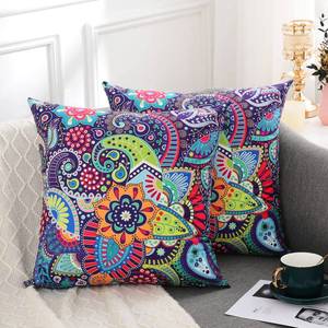 lot 4297 image: hyha Paisley Throw Pillow Covers 18x18 Inch, Set of 2 Printed Velvet Couch Pillows, Floral Pattern Decorative Pillow Covers, Multicolor Boho Pillow Covers for Bed Couch,(18x18, Paisley Floral)