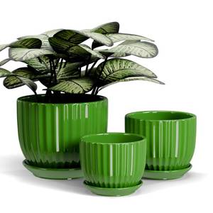 lot 5356 image: Ton Sin Ceramic Plant Pots,456 Inch,Green Flower Pots with Drainage Holes and Tray,Indoor Planters for Plants Pots,Home Office Decoration GIF for Plants,Succulent Pot Set of 3
