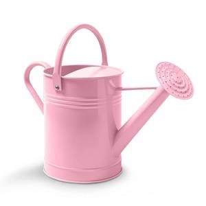lot 6149 image: 6.5L Metal Watering Can for Outdoor & Indoor Plants, Galvanized Steel Metal Water Can with Removable Spout, Movable Top Handle, Rust-Resistant Watering Pot for Garden, Lawn, Flowers missing spout attachment