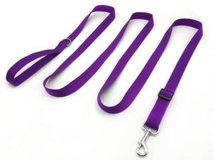 lot 6251 image: TAIAN Adjustable Nylon Dog Leash, 10 Foot Long Dog Leashes for Medium Large Dogs