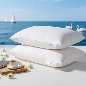 lot 9294 image: RDS Certified Goose Down and Feather Pillow Queen Size Set of 2, 100% Cotton Shell, 3-Chamber 5 Stars Hotel Pillow for Sleeping, Bed Pillows for Neck Pain Relief, Perfect for Side Sleepers - 20x30