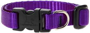 lot 14102 image: LupinePet Basics 12 Purple 8-12 Adjustable Collar for Small Dogs