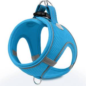 lot 20070 image: Joytale Small Dog Harness, Breathable Mesh Step-in Vest, Reflective Soft Padded Harnesses Small Sized Dog for Walking, Sky Blue, S