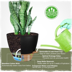 lot 6185 image: Self Watering Planters with Strainer Set